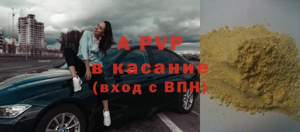 ПСИЛОЦИБИНОВЫЕ ГРИБЫ Александровское