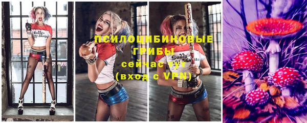 стаф Иноземцево