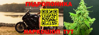 прущие крисы Краснодар