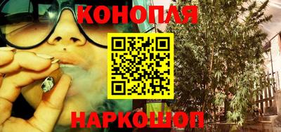 прущие крисы Краснодар