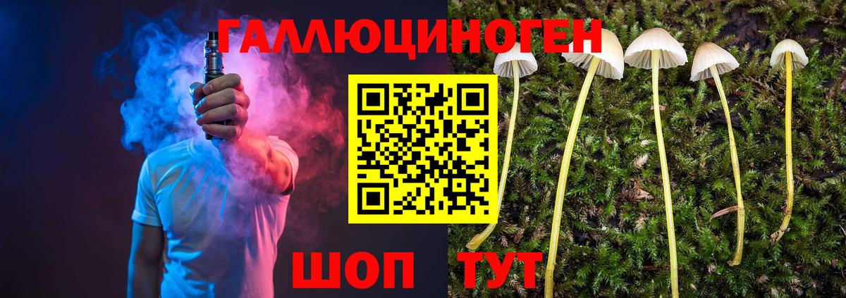 Галлюциногенные грибы Psilocybine cubensis Камышин